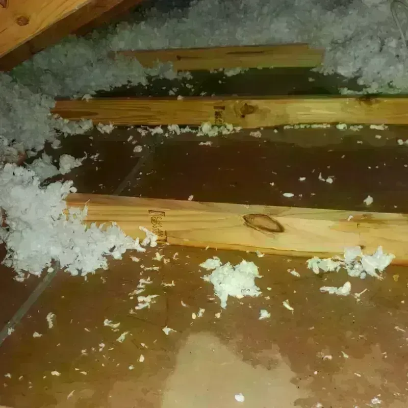 Attic Water Damage in Lowville, NY